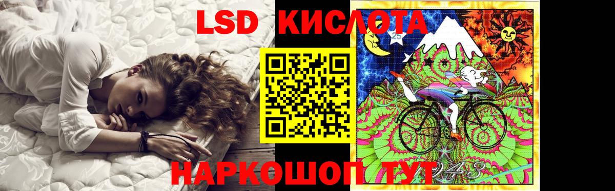 LSD-25 экстази кислота  blacksprut как зайти  Славгород  Лсд 25 экстази ecstasy  Вход с VPN 