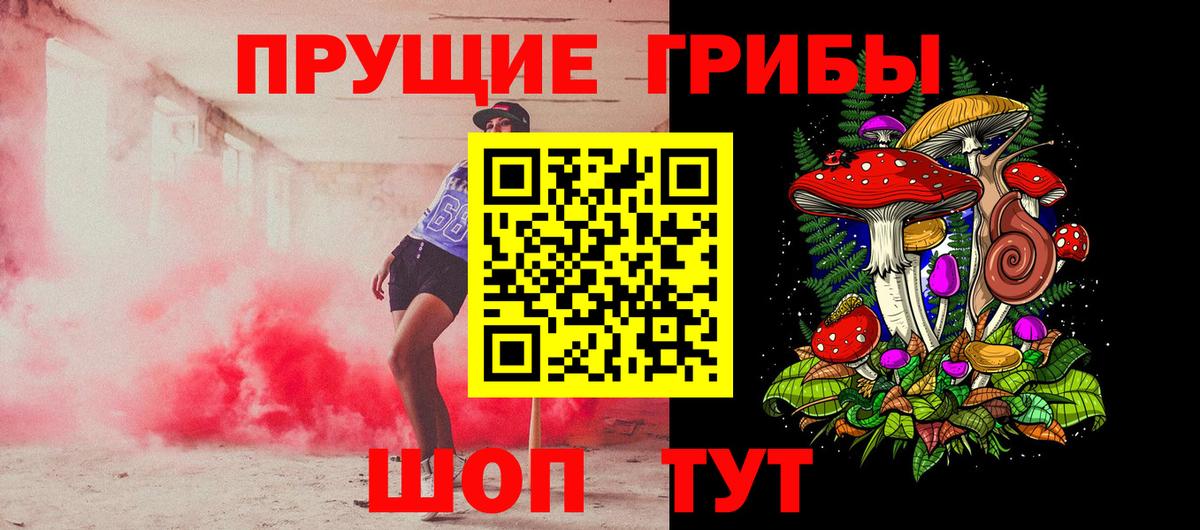 Славгород  Галлюциногенные грибы Psilocybe  Вход с VPN  Псилоцибиновые грибы ЛСД 