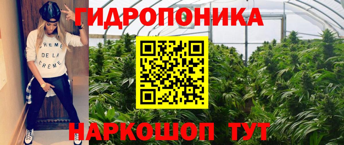 Каннабис ГИДРОПОН  Вход с VPN  МАРИХУАНА LSD WEED  МАРИХУАНА индика  Славгород 